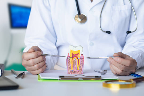 Best Dentist for Tooth Abscess  in Bray, OK